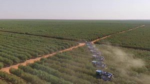 9.9K views · 176 reactions | At #NADEC, we conduct multiple tests and...