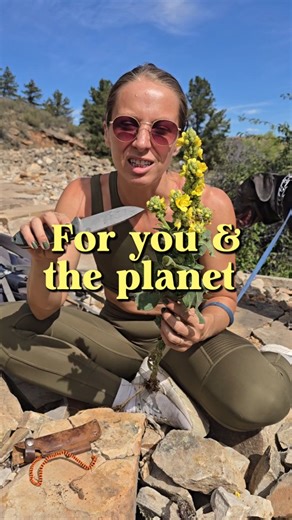 1.3K views · 863 reactions | Giving it another go at convincing you...