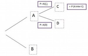 Pourcentage et Probabilité  - Fiches BAC ST2S