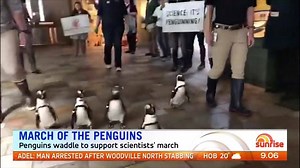 6.2K views · 43 reactions | Thousands of scientists and activists...