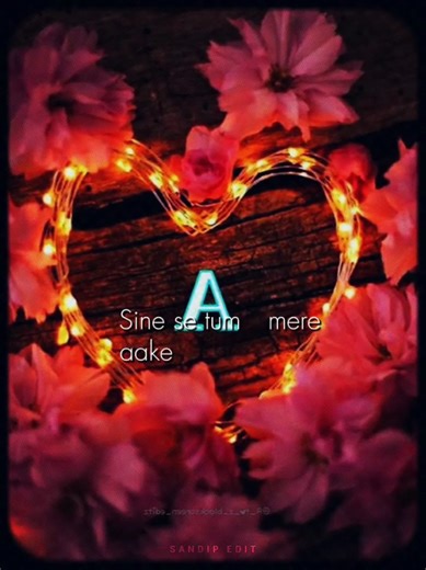 Expressing Love Through TikTok Trends