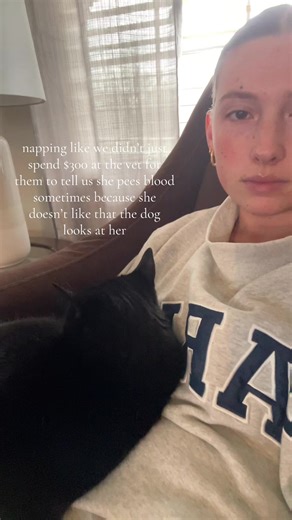 has she ever considered not looking at the dog? #cat #vet #FIC | cats