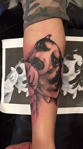 7.6K views · 713 reactions | We were so excited when Mackenzie came in today wanting this AMAZING doggie portrait- Kevin Lewis knocked it outta the park. So fun. | High Voltage Tattoo | Facebook