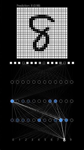 Neural Network Visulization