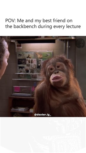 DEXTER on Instagram: "Relatable? 😂🤣 follow @dexter.ig_ for more “The Animal” (2001) is a light-hearted comedy starring Rob Schneider as Marvin Mange, an awkward and clumsy man who becomes unexpectedly powerful after a scientist secretly rebuilds his body using animal organs. Suddenly, Marvin starts displaying hilarious animal-like behaviors—from running super fast to acting strangely around people—which leads to many funny and chaotic situations. As he tries to live a normal life, hide his wil