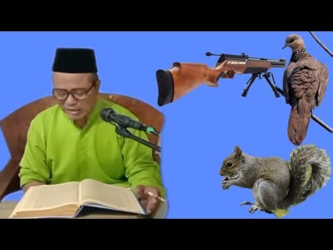 HUNTING ANIMALS WITH AIR RIFLES