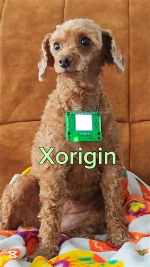 Now you can talk to your dog or cat thanks to AI #ai #chatgpt #animals #comedy #funnymemes #dog #pet