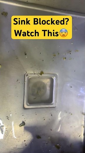 Kiwi Drain Cleaner: The INSTANT Way to Unclog a Kitchen Sink! 🥝✨