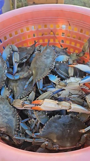 Wayne Mooney on Reels | Facebook