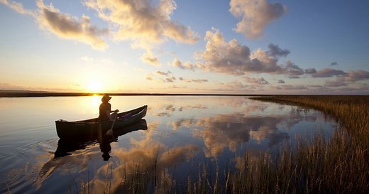 The Nature Conservancy in Alabama