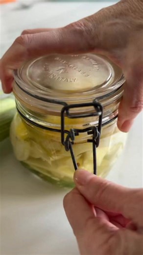 ⭐️ Nouvelle recette et vidéo ⭐️ Fenouil mariné maison, facile, rapide et tellement délicieux! Parfait pour accompagner tes hors d’œuvres, ton saumon fumé, ton poisson poché ou pour bouffer juste comme ça! 🎯💬 Pour avoir ma super recette de marinade, écrire « fenouil » ou « marinade » ou « recette » dans un gentil commentaire. Sinon elle est aussi en 1er commentaire ☺️ | la petite bette