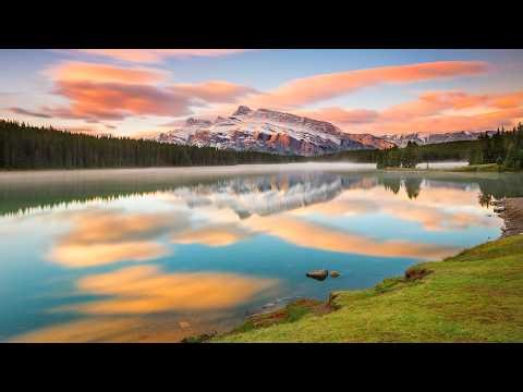 The Power of a Party! In Psalms 0 0