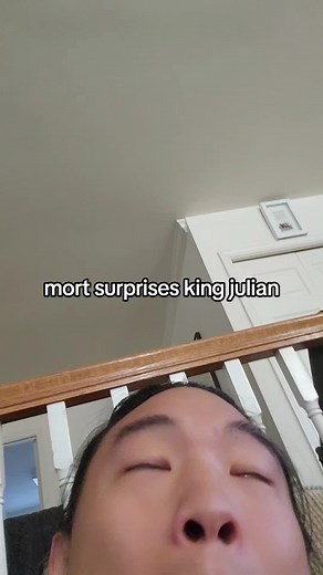 da feet #madagascar #kingjulian #mort | king julian and mort