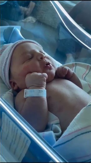 Rooting Reflex: Early sign of healthy neurodevelopment. | bams gallery | #rootingreflex #reflex