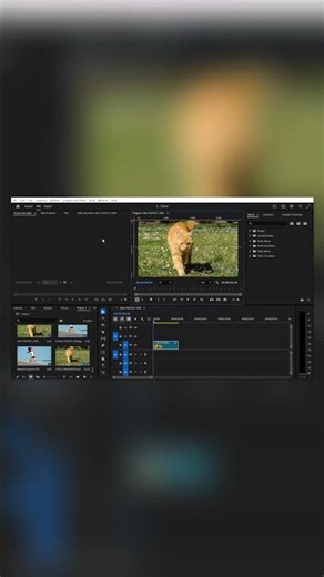 Master Precision Motion Tracking in Premiere Pro with Guides #ObjectTracking #PremiereTutorial
