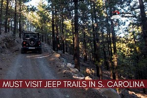 | Driver Illustrated