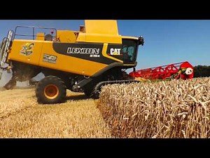 Cat Lexion 575 R Weizen Dreschen 2013 - MVideo #15
