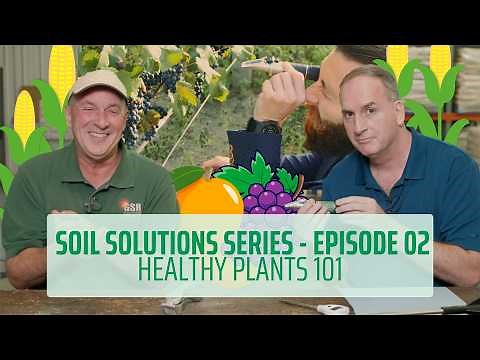 Soil Solutions Series | Ep. 02 | Healthy Plants 101 #planthealth #soilhealth