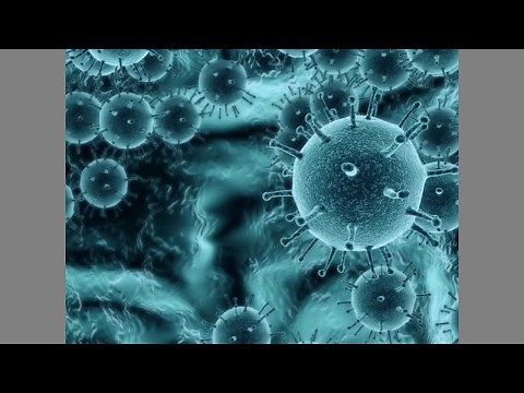 Generalidades de los VIRUS