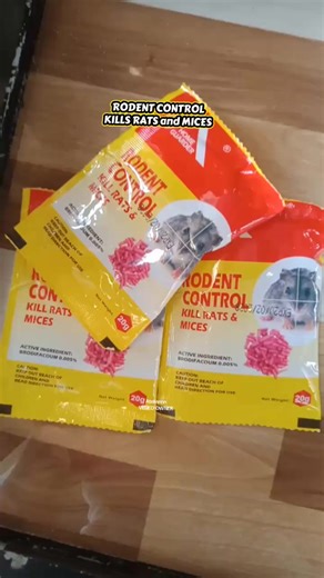 Effective Rodent Control Solutions for Homeowners