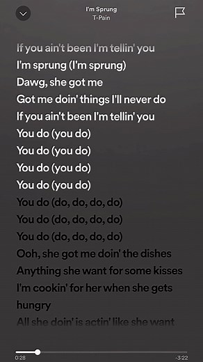 T-Pain Im Sprung Lyrics