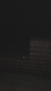 35K views · 813 reactions | turned @jakeswolsky 's frog video into a horror #fyp #horror | The Phobia | Facebook