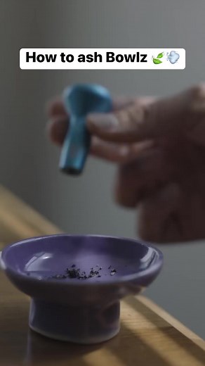 No more clogged & dirty bowlz 🥣 | Bowlz