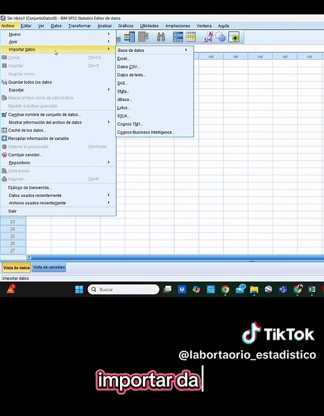 Ingresar datos de Excel al SPSS para análisis estadístico