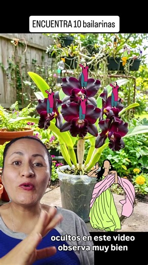 FIND 10 dancers #mentalchallenges #culturando24 #maricelachela #visualexercises