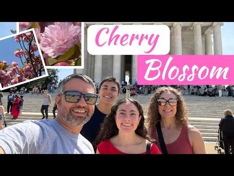 Washington DC Cherry Blossoms 🌸 | 4-Day Camping Adventure at Cherry Hill Campground