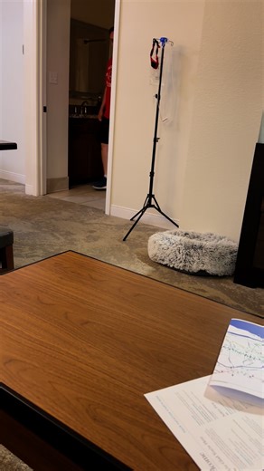 🐾 Hey my pals, it’s me—Piper 💗 Yesterday marked three months since my big brother Preston left us, and wow… we miss him so much. 💔 Mom said she was finally ready to share one of her favorite last few memories of Preston. It was from a special trip she and Dad took him on to Branson, MO—right in the middle of his radiation treatments. They wanted him to have some extra-special time filled with love, snuggles, and (of course) fun. 💕 One of Preston’s very favorite games was hide and seek with D