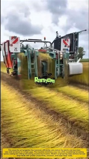 Amazing Flax Harvesting Machine in Action | Incredible Farming Technology!