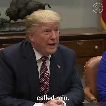 Trump Orders Toilet Rule Review, Saying People Flush 10 Times
