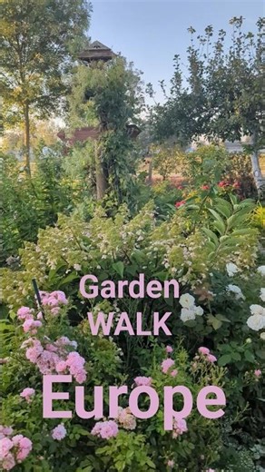 Garden Walk 2400 kv.m created by one person 🍃 #garden #relaxing #nature #gardening #ambience #plants