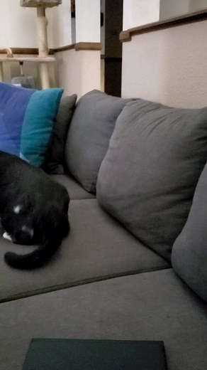 Life After Mimi on TikTok