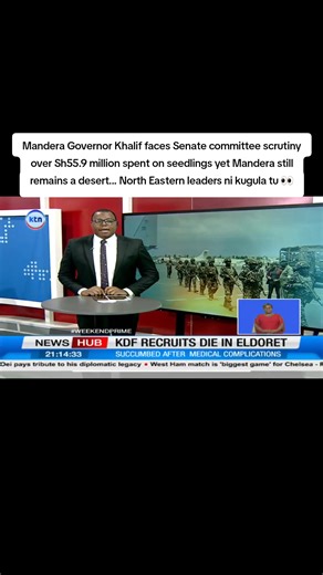 Mandera Governor Khalif faces Senate committee scrutiny over Sh55.9 million spent on seedlings yet Mandera still remains a desert... North Eastern leaders ni kugula tu 👀 #shujaahumphrey