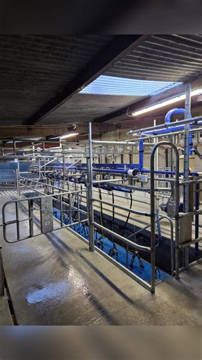 A Busy Start to 2026 on the Farm