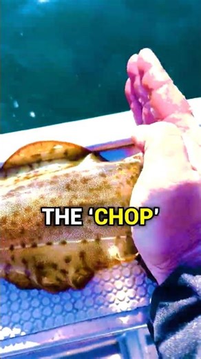 WHY Is Doing KARATE To SQUID?🦑😱