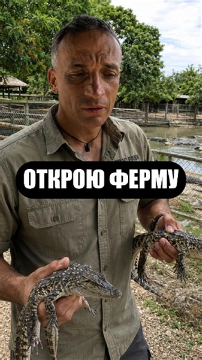 Будущий бизнес Рафала #сша #ферма