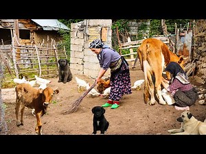 Traditional Cooking on Fire/ Village Woman Daily Life in a Peaceful Rural village!
