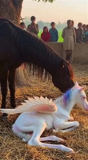 Winter Snowfall Captured in Islamic Perspective