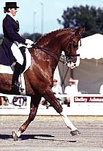 Necarne Castle Dressage Festival goes ahead - Horse & Hound