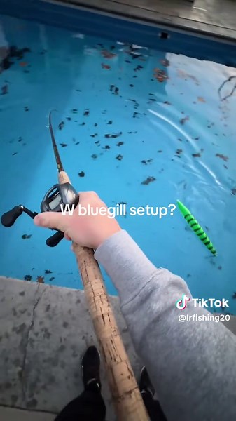Ideal Bluegill Fishing Setup Explained