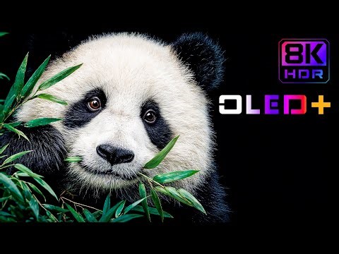 OLED DEMO – Heavenly Nature Moments in 8K HDR | Dolby Vision™
