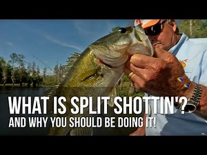 What is Split Shottin' and why you should be doing it!