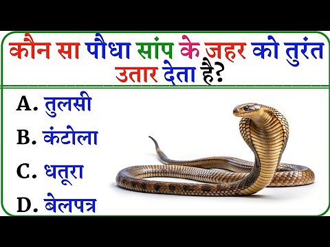 Top 20 Gk Question | General Knowledge | Gk Question And Answers | Gk In hindi | Gk Quiz|