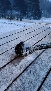 383K views · 18K reactions | Luna is waiting for spring to finally come  | Luna_the_pantera | Facebook