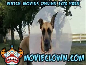 How to Watch Marmaduke online for free