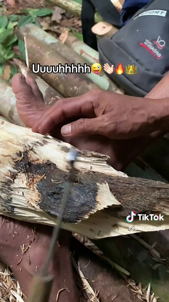 Exploring Gaharu: Benefits and Uses of Agarwood