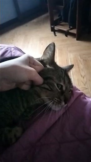 26 de janeiro de 2026